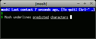 Screenshot of Mosh (software), showing warning of intermittent network connection and local echoing feature