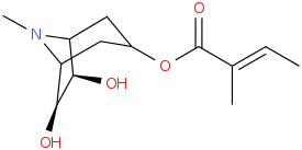 File:((6R,7S)-6,7-dihydroxy-8-methyl-8-azabicyclo(3.2.1)octan-3-yl) (E)-2-methylbut-2-enoate.png
