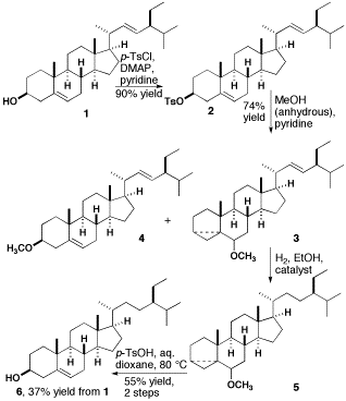 Synthesis of sitosterol.gif