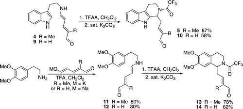 N-Acyl Pictet−Spengler Reaction by Treatment of Tryptamine and Homoveratrylamine Derived Aminopentadienals with TFAA