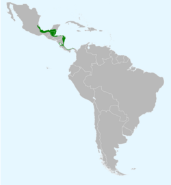 Psarocolius montezuma map.svg