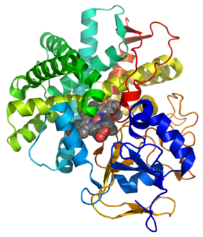 Prostacyclin synthase 2IAG Chiang et al.png