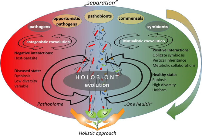 from "separation" theories to a holistic approach In a holistic approach, the hosts and their associated microbiota are assumed to have coevolved with each other