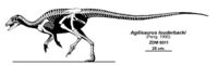 Agilisaurus louderbacki.jpg