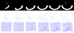 Figure showing dense image mtaching LDDMM for transporting a curved motion.