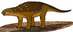 Panoplosaurus 055.JPG