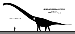 Hudiesaurus Skeletal.svg