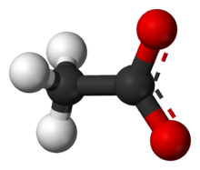 Ball-and-stick model of the acetate anion