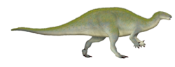 Oblitosaurus.png