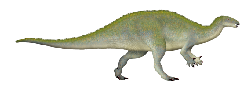 File:Oblitosaurus.png