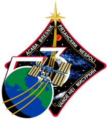 ISS Expedition 53 Patch.png