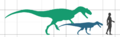 Langenburg theropod size.png