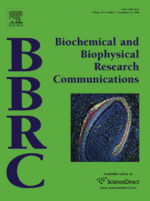 BBRC cover (Jan 2009).gif