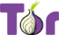 Tor-logo-2011-flat.svg