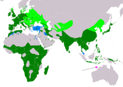 Global range      breeding      resident      non-breeding      vagrant (seasonality uncertain)