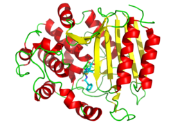 3D cartoon diagram of transpeptidase bound to penicillin G depicted as sticks