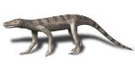 Dibothrosuchus BW.jpg