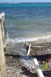 Runoff from this pipe in the U.S. Virgin Islands spews directly into the ocean only a few hundred yards from reefs.jpg