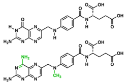 The chemical structures of folic acid and methotrexate highlighting the differences between these two substances (amidation of pyrimidone and methylation of secondary amine)