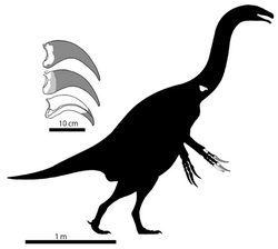 Paralitherizinosaurus holotype skeletal.png