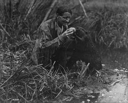 Black and white photo of a man feeding a beaver