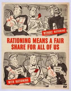 A cartoon of two women with the above panel having a woman hoarding and the below panel having the two share resources via rationing