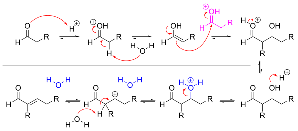 A mechanism for aldol condensation in acidic conditions, which occurs through enol intermediates and an elimination reaction.