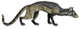 Hesperocyon (white background).png