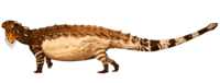 Pinacosaurus Jack Wood 2017 flipped transparent.png