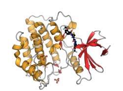 Human casein kinase 1 delta PDB 4TWC.png