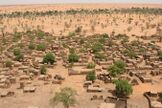 Desert sand half covers a village of small flat-roofed houses with scattered green trees
