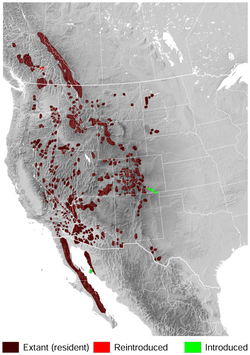 Bighorn Sheep Ovis canadensis distribution map topo 2.png