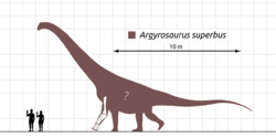 Argyrosaurus-Scale-Diagram-SVG-Steveoc86-001.svg