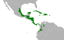 Tiaris olivaceus map.svg