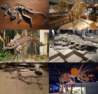 Ornithischia montage.jpg