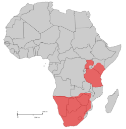 Steenbok distribution.svg