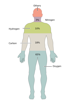 201 Elements of the Human Body.02.svg