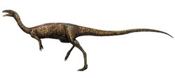 Elaphrosaurus.jpg