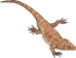 Sophineta Life Reconstruction.png