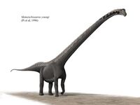 Mamenchisaurus youngi steveoc 86.jpg