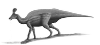 Tsintaosaurus-spinorhinus-steveoc86.png