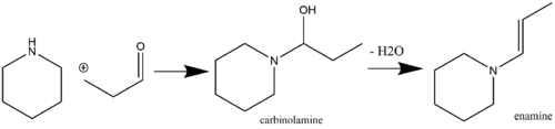Enamine synthesis with a carbinolamine intermediate.
