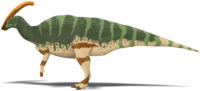 Parasaurolophus walkeri.png