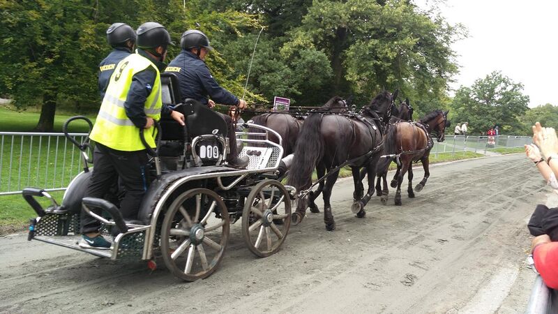 File:Horse carriage at FEI European Dressage Championship 02.jpg
