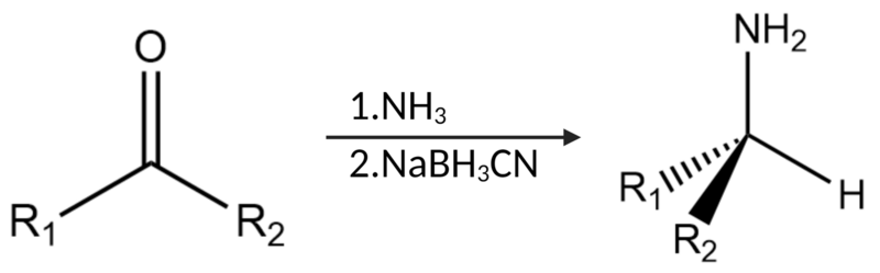 File:Reductive Amination R.S..png