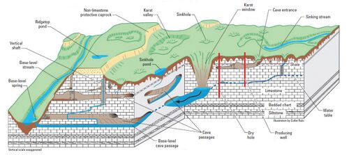 Cross section of karst terrain showing topographic features and water flow paths.