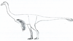 Anserimimus LM.png