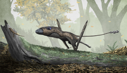 Dimorphodon.png