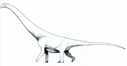 Andesaurus LM.png