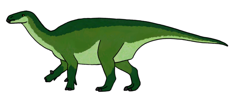 File:Bayannurosaurus reconstruction raingerr.png